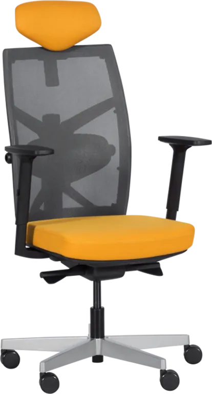 Lady modern chair